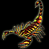 scorpion