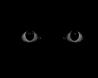 D�.Tech