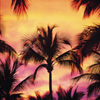 SolomonX