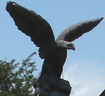 Eagls063