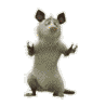 sandr