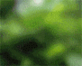 VEB