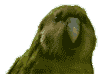 Return