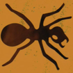 im__
