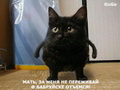 Ruslan1-1