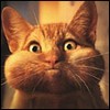 petboss