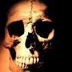 -=SID=-