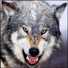 DeMoN �666