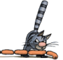 Tokzzz