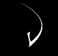Arhivarius