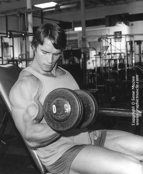 ������� ������������ / Arnold Schwarzenegger (����)