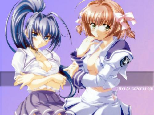 ����������� ������ - �������� �� ���� ����� (��� 1) / Kimi Ga Nozomu Eien (�������� �����) [2003 �., �����, DVD9]