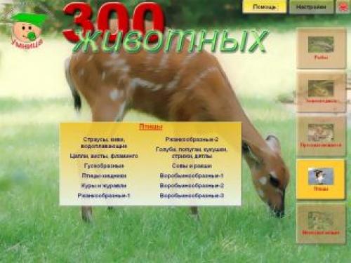 300 Животных. Интерактивная детская обучающая программа
