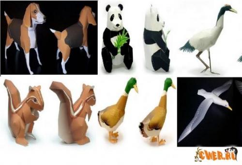 3D ������� [2009 �., ������� �� ������]