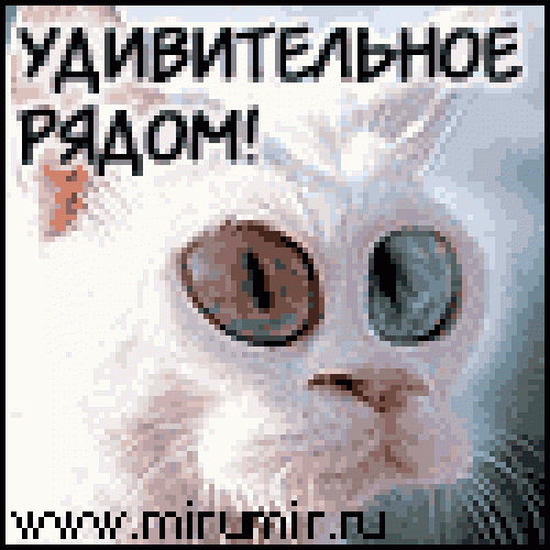 [Avatars] ������������� ��������. 1700������!