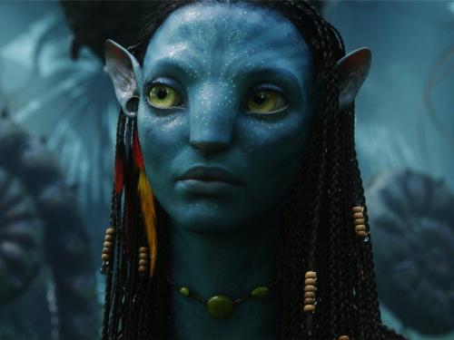 ���� ��'�� �� ������ ������ [2009 �., ����������]