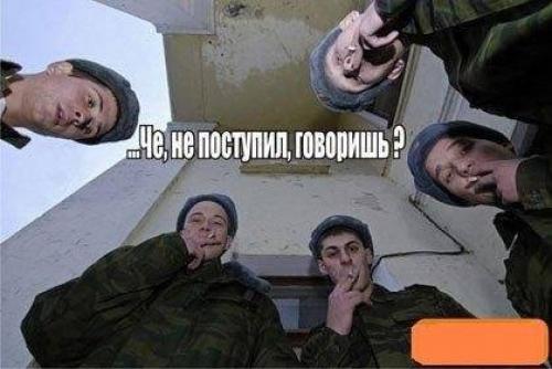 ���������� ��� 2008 [2008 �., ������ ���������]