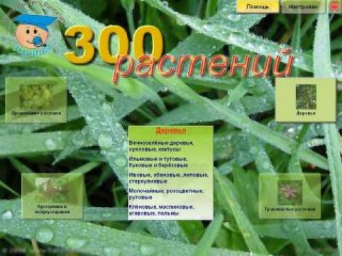 300 ��������. ������������� ������� ��������� ���������