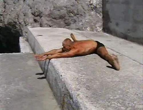 (������) ������������� ������� ������-����� [2002 �., ����, VHSRip]
