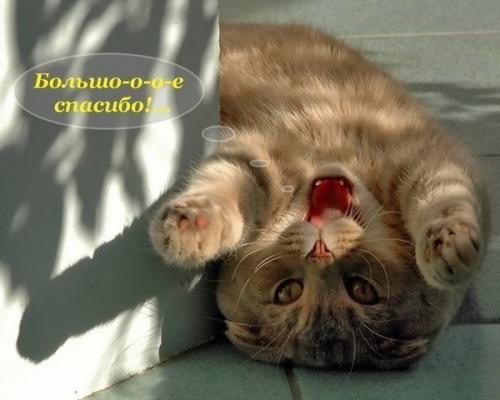 ������������ ����� [2005 �., ������������]