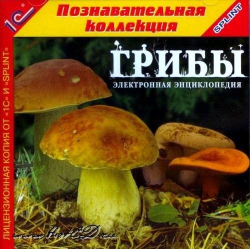 �����. ����������� ������������ [2005 �.]
