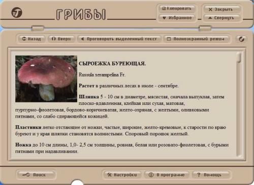 �����. ����������� ������������ [2005 �.]