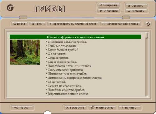�����. ����������� ������������ [2005 �.]