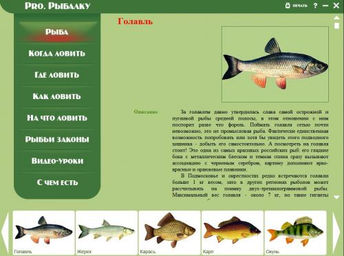 ������������� ������������ Pro. ������� [2008]