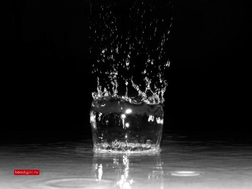 Полная коллекция обоев с сайта www.beautypic.ru