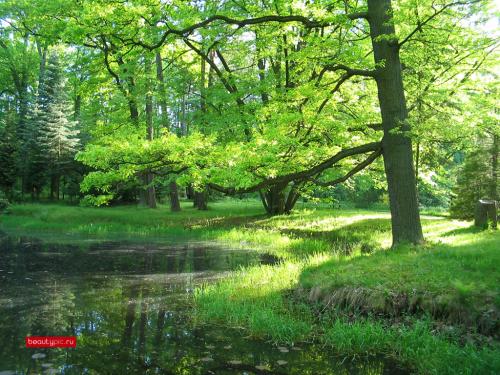 Полная коллекция обоев с сайта www.beautypic.ru