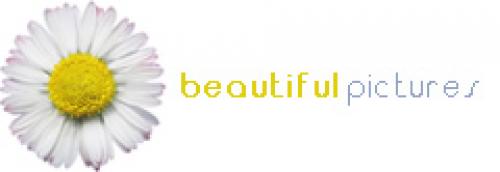 Полная коллекция обоев с сайта www.beautypic.ru