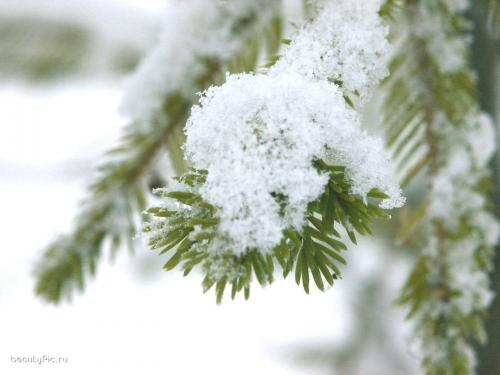 Полная коллекция обоев с сайта www.beautypic.ru