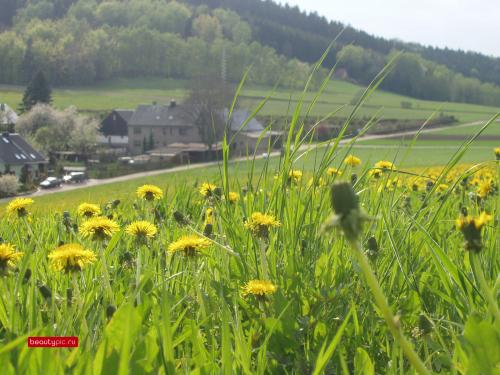 Полная коллекция обоев с сайта www.beautypic.ru