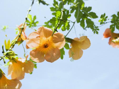 Полная коллекция обоев с сайта www.beautypic.ru