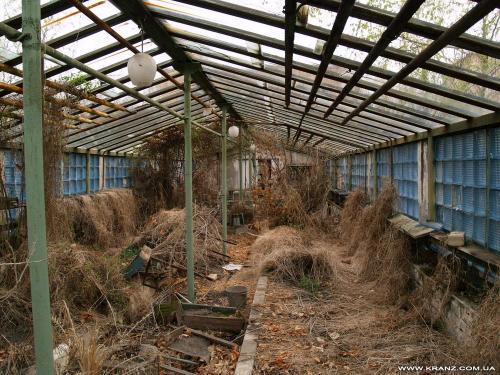 Припять и окрестности (1995-2009)