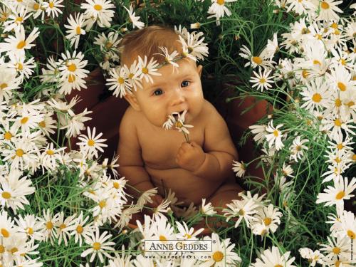 ������ Anne Geddes
