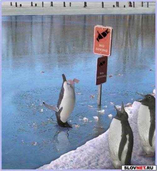������� �������� � ����� SLOVNET.RU!