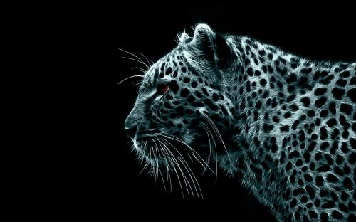 Black Wallpapers