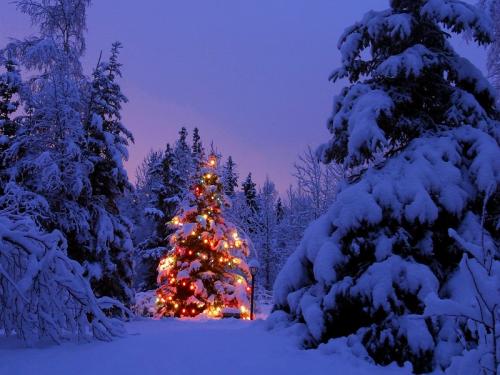 Christmas HD Wallpapers (Новогодние обои ч.6 заключительная)