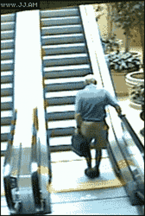 ����� GIF-��������.vol 5