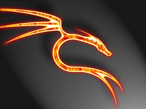 Обои Dragons