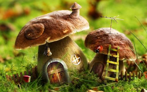 �������� WallpapersMania �� 156 �������