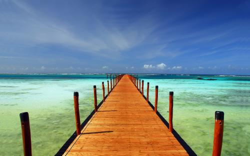 �������� WallpapersMania �� 156 �������