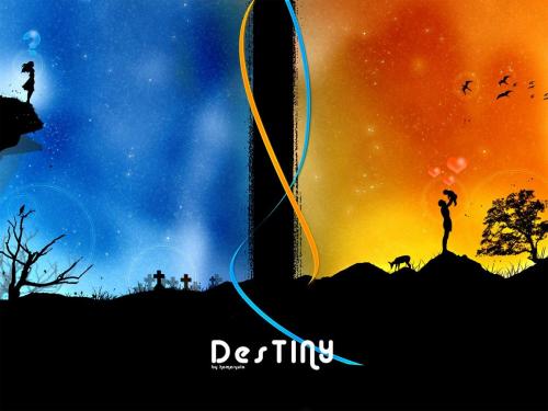 Wallpapers - 3D grafity
