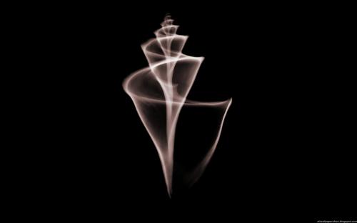 X-Ray Wallpapers (2009)