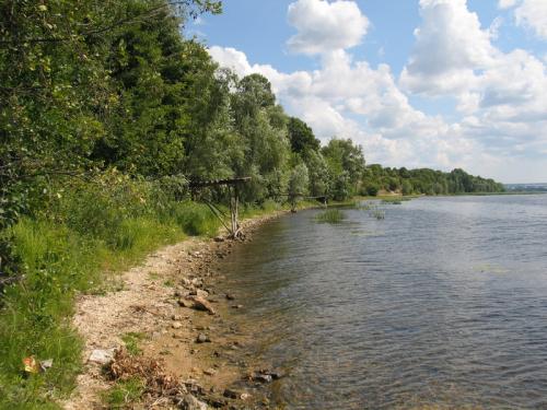 Природа Поволжья (Самарская область)