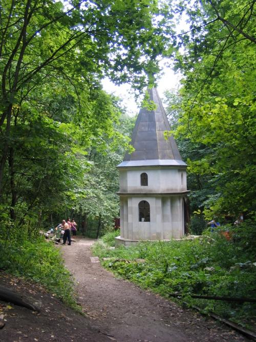 Природа Поволжья (Самарская область)