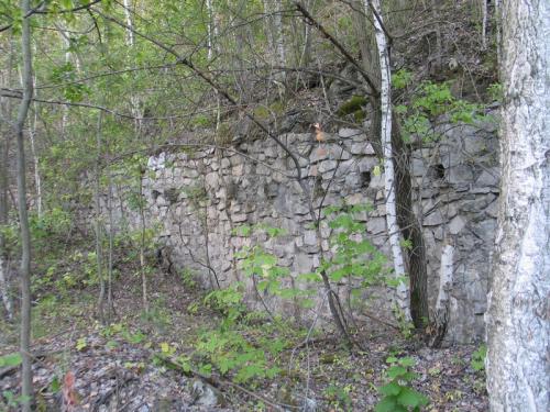 Природа Поволжья (Самарская область)