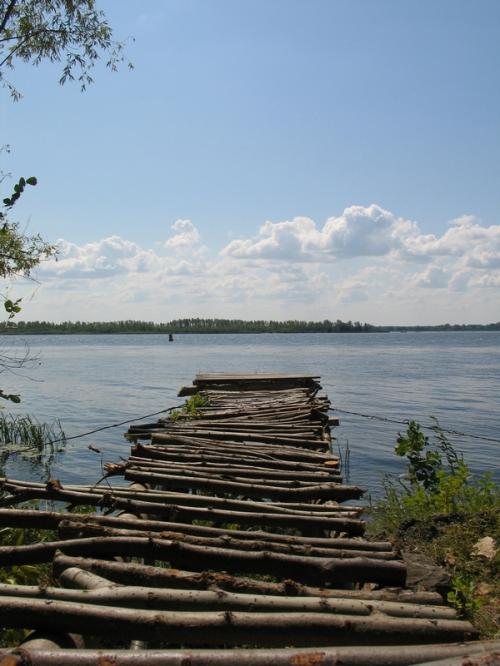 Природа Поволжья (Самарская область)