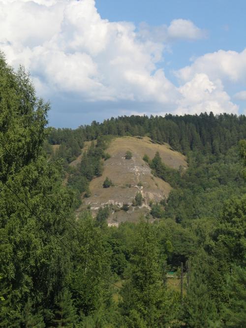 Природа Поволжья (Самарская область)